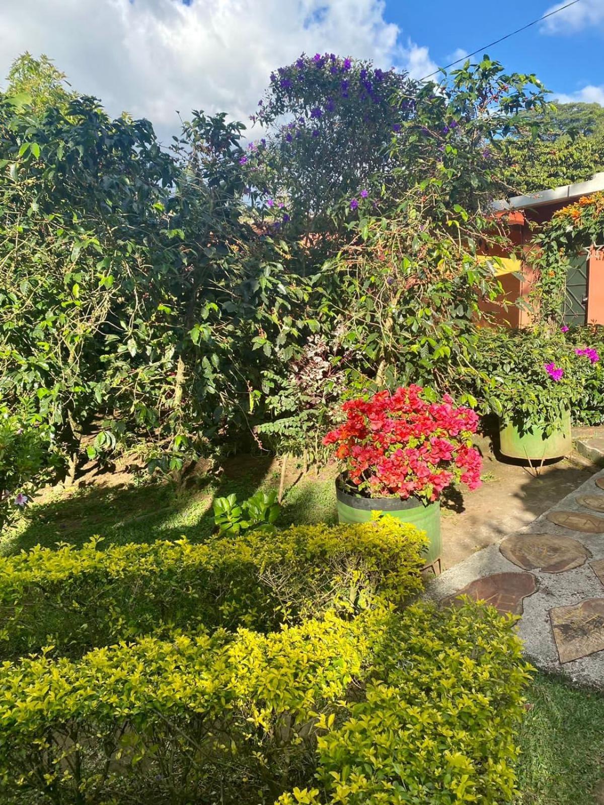 Villa Castillo De Ensueno Concepción de Ataco Extérieur photo