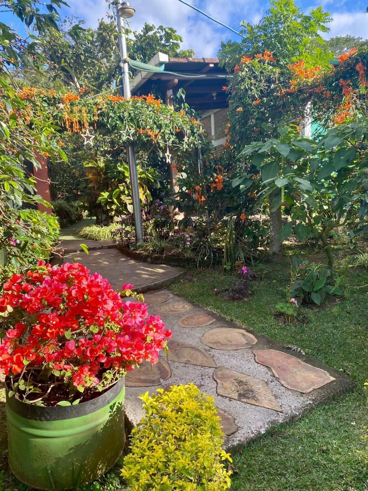 Villa Castillo De Ensueno Concepción de Ataco Extérieur photo