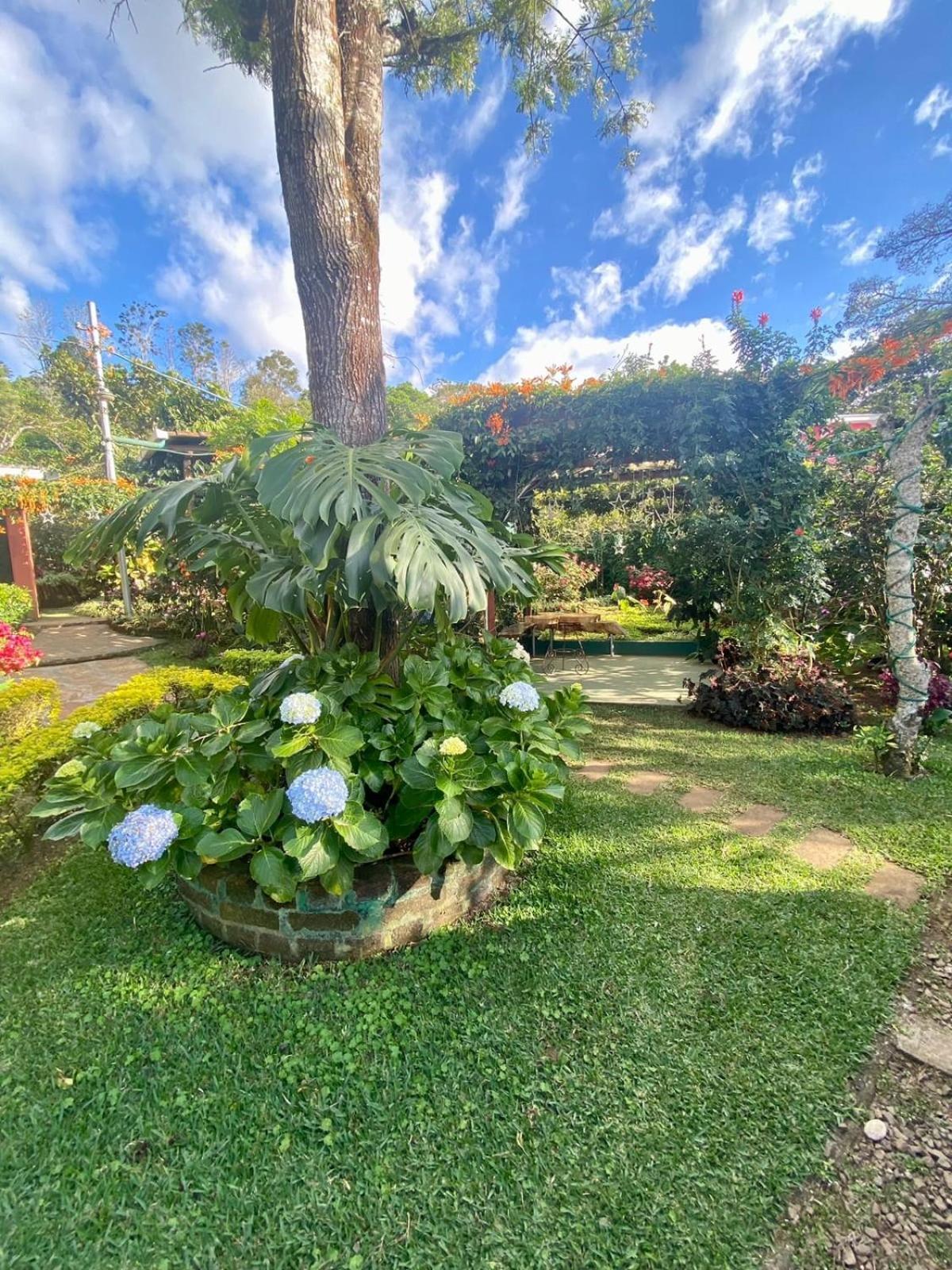 Villa Castillo De Ensueno Concepción de Ataco Extérieur photo